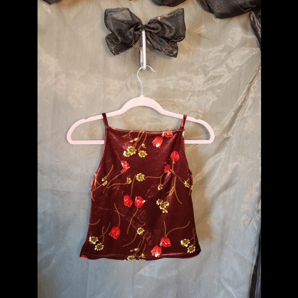 Eminance Vintage Velvet Crop Top